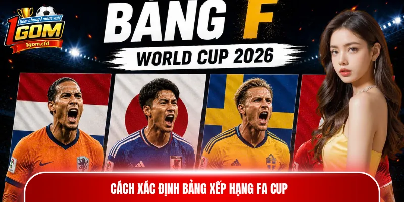 Cách xác định bảng xếp hạng FA Cup