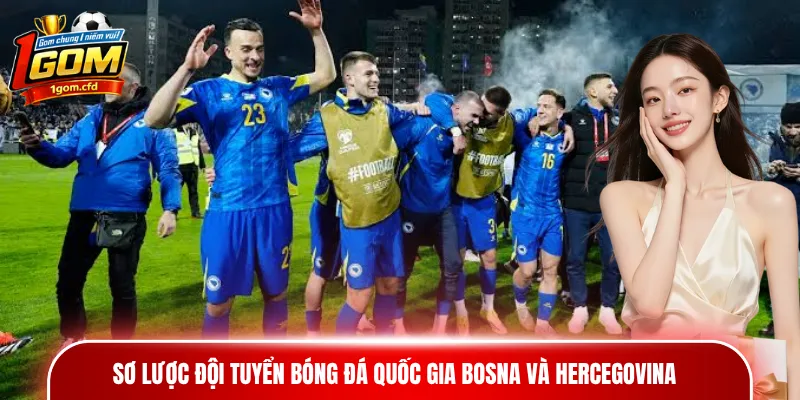 Sơ lược đội tuyển bóng đá quốc gia Bosna và Hercegovina